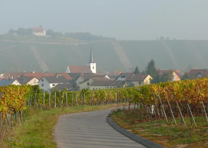 Weingut Herbert Kram Отель типа 