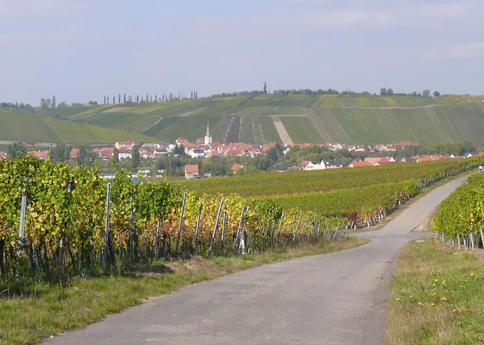 Weingut Herbert Kram Отель типа 