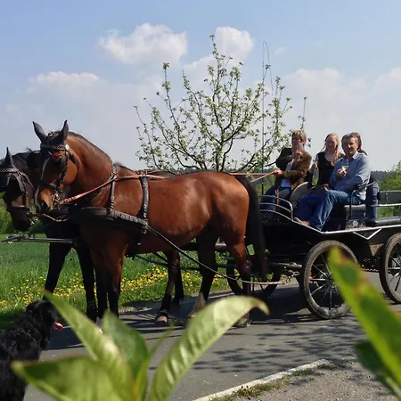 Bed and breakfast Weingut Herbert Kram Nordheim am Main